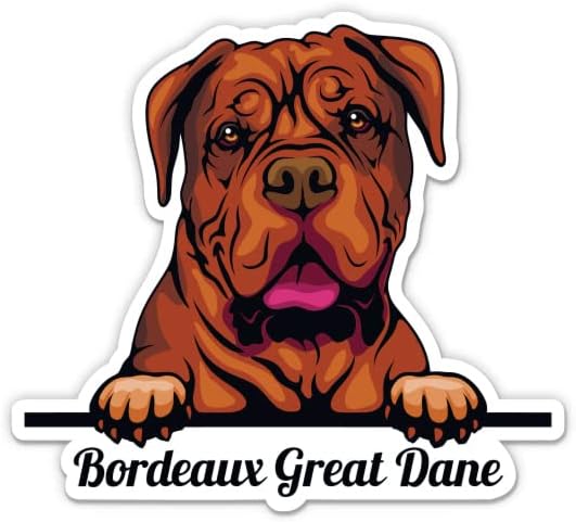 Bordeaux Great Dane Sticker - Adesivo de laptop de 5 - Vinil à prova d'água para carro, telefone, garrafa de água - Bordeaux Great