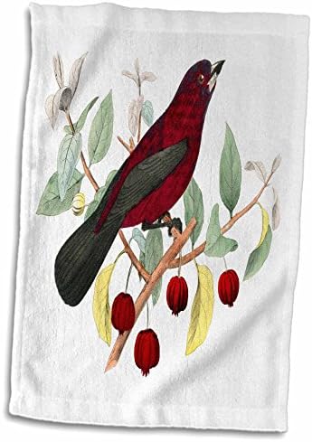 3drose florene vintage - lindo pássaro vermelho no galho com bagas vermelhas - toalhas