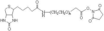 Biotin-PEG-SCM, 1K