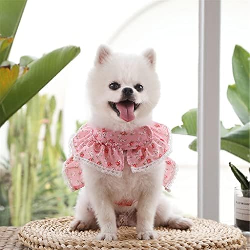 Moda genérica Design floral chicote de cachorro colar