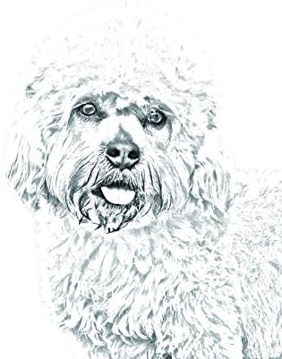 Dandie Dinmont Terrier, lápide oval de azulejo de cerâmica com uma imagem de um cachorro