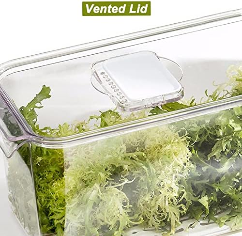 Wejipp Produce recipientes de armazenamento de alimentos para geladeira economiza Organizador de geladeira de congelador