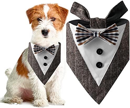 Cap de graduação para cães e terno de fantasia de bandana de bowtie com roupas de gravata borbole