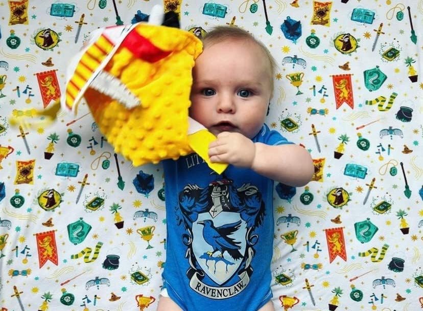 10x10 ”Wizard trouxa bebê Lovey Gryffen Lion Tag Toy para bebês - Muggles - Cores da casa - Aprenda Magia - Soft