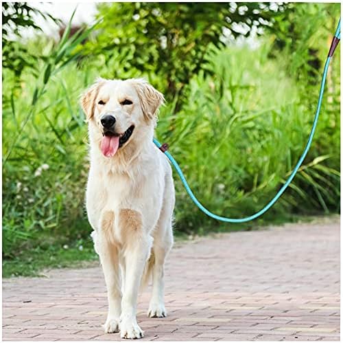 Maypaw Dog Rope Slip chumbo, 1/4 -5ft de nylon durável, colorido de treino ajustável colorido para cães pequenos e x-small