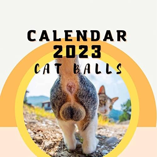 Gato butts 2023 para amantes de gatos - calendário engraçado de gatos, calendário de butt de gatinho 2023 calendários de parede mensal