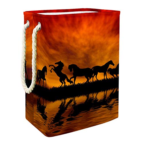 Linda sombra de cavalos correndo em cestas de armazenamento ao pôr do sol, lixeira de armazenamento colapsável na