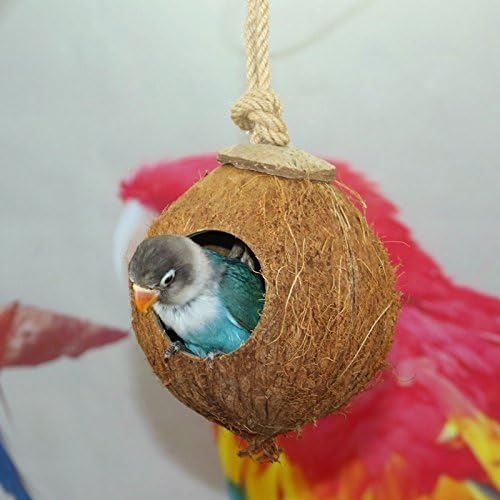 Casa de ninho de coco de coco natural cabana para papagaio de estimação canário canhão finch pombo hamster rato rato ratos ratos gaiolas gaiola alimentador de semente