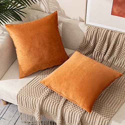 Pacote de Etasop de 4 capas de travesseiro de veludo, travesseiros de arremesso macio 18 x 18 travesseiros de sofá para decoração