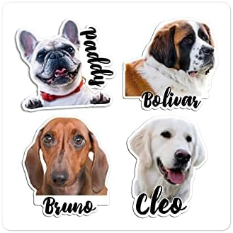 Foto de estimação para cães personalizados com nome de vinil adesivo - Presente de adesivo para proprietários de cães personalizado