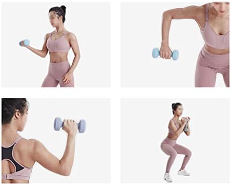 Dumbbells de GDD Dumbbells impregnados de plástico, uso doméstico masculino e feminino, braços finos para treinamento de braços