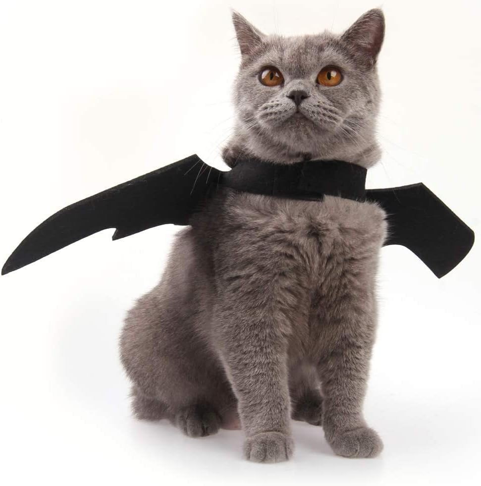 Fantasia de halloween gato de cachorro chicote