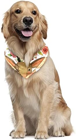 Bandanas fofas de cães de veado doce de primavera e flores, 2 pacote de lenço de estimação lavável e lavável Triângulo para cachorros grandes cachorros e gatos