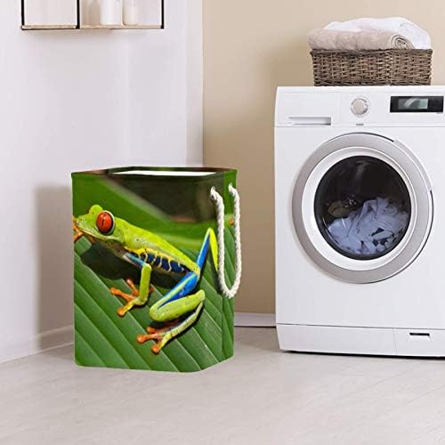 Deyya Animal Frog Laundry Bestkets cestam altos dobráveis ​​para crianças adultas meninos adolescentes meninas em quartos banheiro 19.3x11.8x15.9 em/49x30x40.5 cm