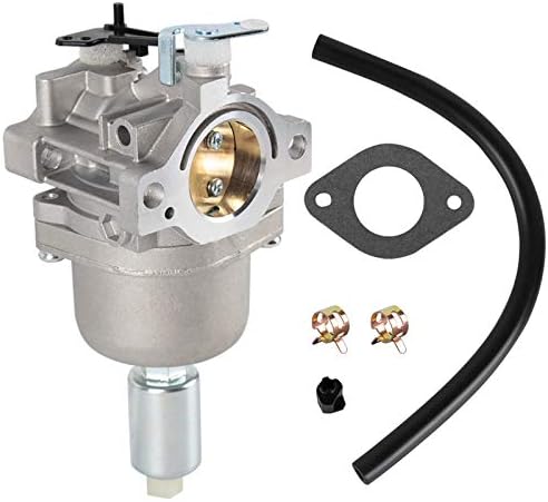 Carburador Autokay Compatível com Briggs Stratton 591731 796109 594593 CARB