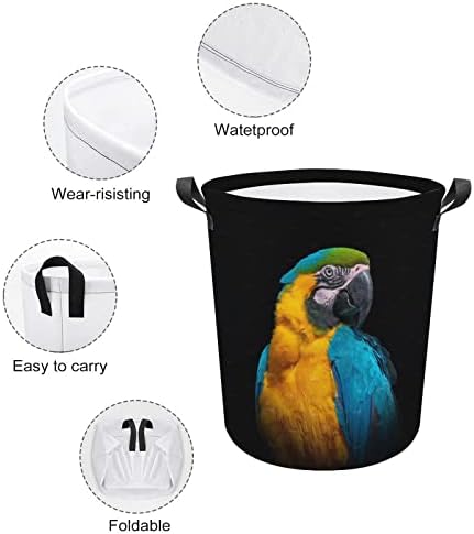 Papagaio em lavanderia desgastante Dark cesto de lavanderia cesto com alças de lavagem Bin Saco de roupas sujas para