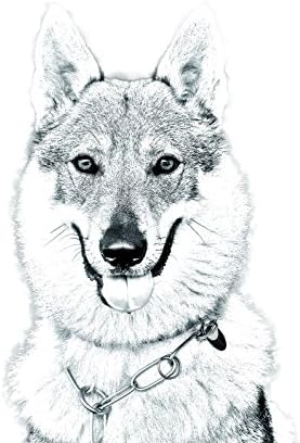 Cão de lobo tchecoslováquia, lápide oval de azulejo de cerâmica com uma imagem de um cachorro