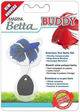 Marina Betta Buddy, azul, 12209