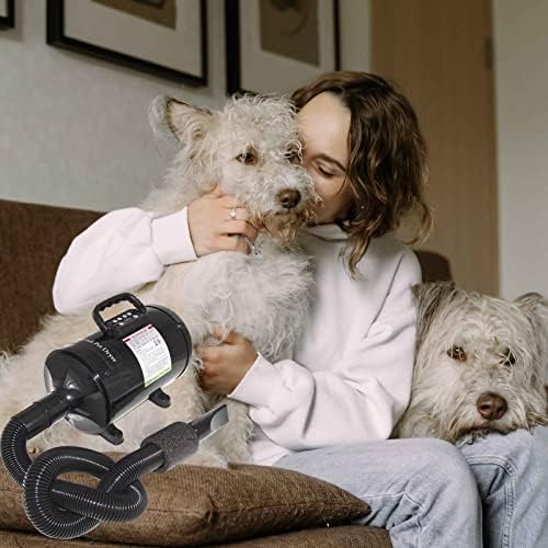 Hannah.Qi Pet Secer Pet Dog/gato secador de cabelo Pet Helfing Secador 4,3hp/3200W Alta velocidade com velocidade ajustável e controle de cão de controle de temperatura Secador de sopro.