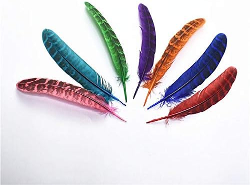 Zamihalaa 200-500pcs/lote feminino de faisão feminina tingida de 10 a 15 cm Acessórios de decoração de jóias DIY Pleda de frango para artesanato - roxo - 500pcs