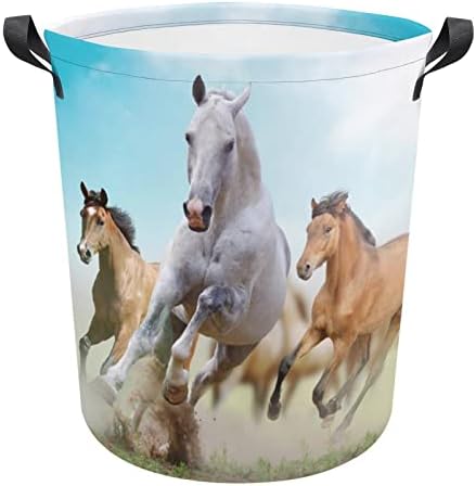 Cavalos em lavanderia de pó cesto de cesta de lavagem de lixo de bancada de armazenamento colapsível alto com alças