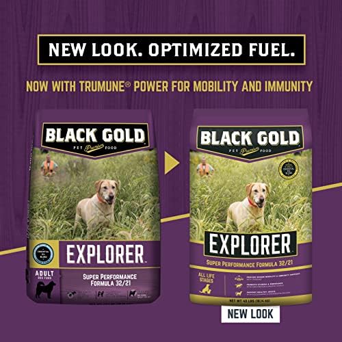 Receita de Super Performance do Black Gold Explorer 32/21 alimentos secos para cães