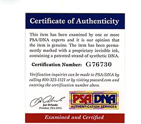 Brad Pitt, o pôster mexicano 24x36 assinado autografado autêntico PSA/DNA COA