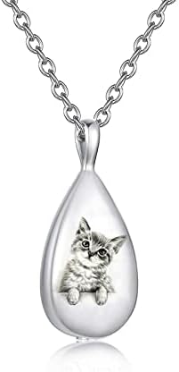 Dotuiarg Pet Memorial Urna Colar para jóias de jóias de memória cão de cachorro de gato gravado