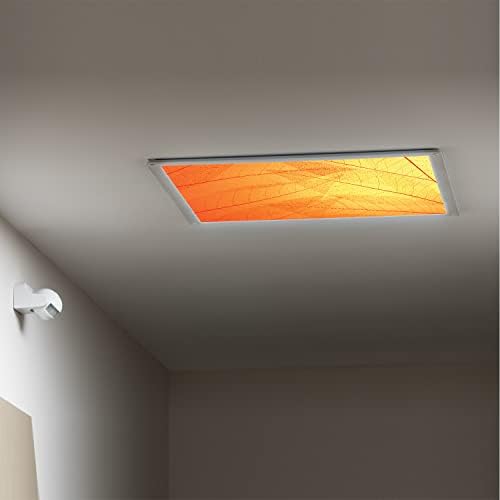 Tampas de luz fluorescentes para o teto dos painéis de difusor de luz-laranja-fluorescentes de padrões-fluorescentes para