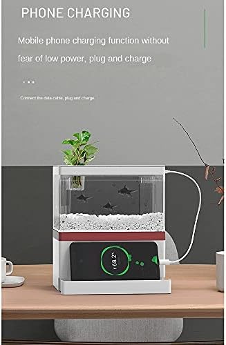WJCCY Desktop Paisagismo criativo doméstico Faminha ecológica do tanque de peixes micro paisagem alteração de água livre