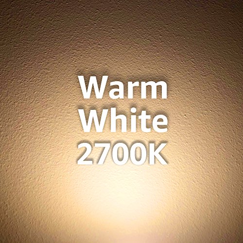 Iluminação EURI EP38-5020EW LED PAR38 Bulbo, Linha todos os dias, 2700k branco quente, dim, 18,5W 1400 lm, classificação molhada,