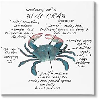 Stuell Industries Crab Anatomy Facts Educational Sea Life Diagrama, Design by Dishique