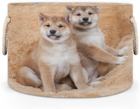 Animal Foxes Grandes cestas redondas para cestas de lavanderia de armazenamento com alças cestas de armazenamento de cobertor para caixas