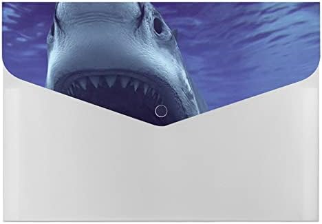 Dentes de tubarão oceânico expandindo a pasta de acordeão da pasta 6 bolsos organizador de documentos Organizador de papel