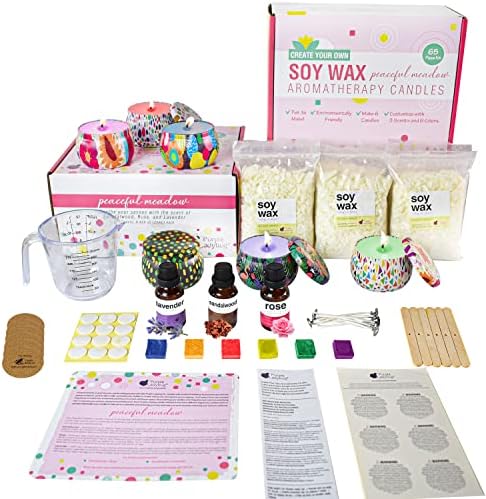 Purple Ladybug Diy Candle Kits com aromas de aromaterapia - Artes e artesanato divertido para adultos mulheres e adolescentes,