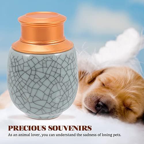Sosoport Pet Urn Cerâmica Cão ou Cinzas de gato urna Memorial Caixa de memória para donos de animais de estimação