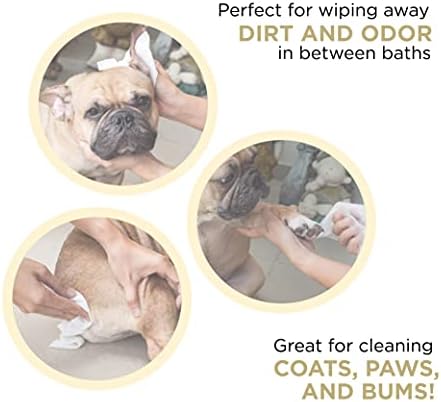 Mod Pet Wipes L 100 contagens hipoalergênicas lenços de cachorro em viagem de viagem a gente | Todo o objetivo de pata de cachorro