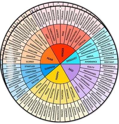 Sentimentos de vrocuse roda grande 12 polegadas grandes, 2pcs gráfico de roda emoção para terapia conselheiro escolar, assistente