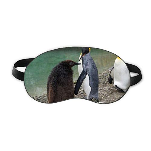 Sea Cold Antártica Pinguim Ciência Natureza Imagem Sono Sleep Eye Shield Soft Night Blindfold Shade Cover