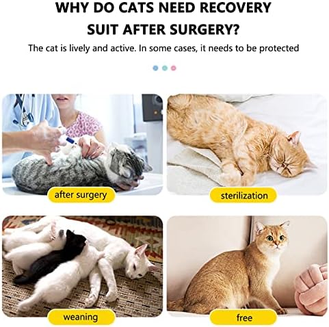 Traje de recuperação de gatos de sainspeed para feridas abdominais ou doenças de pele, alternativa de colarinho eletrônico para gatos e cães, respirável após a cirurgia usar feridas anti-lambidas, s