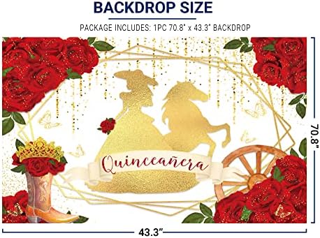 Allenjoy Red Rose Western quinceañera cenário para menina princesa rústica charro mariachi botas de borboleta floral