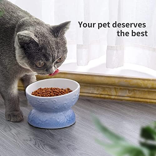 Tigela de comida de gato de gato hassense, tigela de alimentação de gatos elevados em cerâmica, ângulo de inclinação