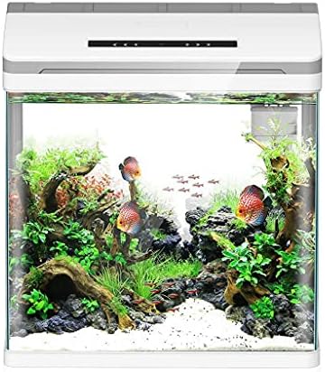UXZDX Mini aquário inteligente Betta Fish Aquarium Creative Lazy Desktop Fish Tank Home Glass Glass Autocritorante trazendo caixa de alimentação sem água