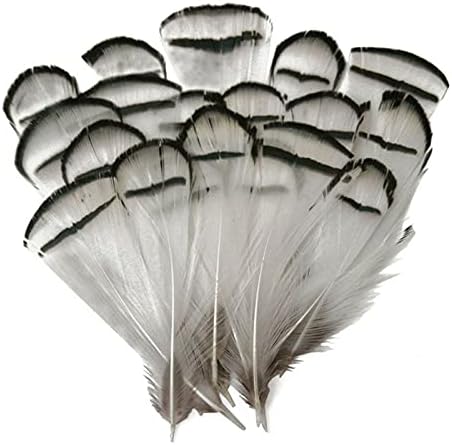 Pumcraft Natural Peacock Feather Fantasmas para Jóias Diy Jóias Avelas de Casamento Feathers Para Jóias Fazendo Carnaval Partemoos
