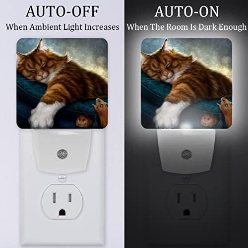 Fantasy Cat Led Night Light, Kids Nightlights for Bedroom Plug Int Wall Night Lamp Brilho ajustável para escadas do quarto