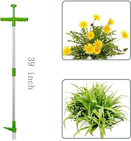 Removedor de raiz de planta permanente, atualize o puxador de ervas daninhas Stand Up Weed Root Tool e Picker, com 3 Garras Stand Up
