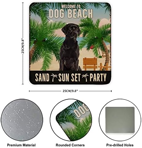 Sinal de metal bem -vindo ao cão de praia de praia solty party festa engraçado cão cabide de cachorro sinal signo