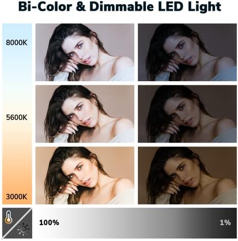 Iluminação fotográfica Dazzne D50 com porta de celeiro, 2,4 Luz de vídeo LED com LED com remoto, 45W 3000K-8000K