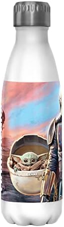 Cartão postal da família Star Wars 17 oz garrafa de água em aço inoxidável, 17 onças, multicolorida
