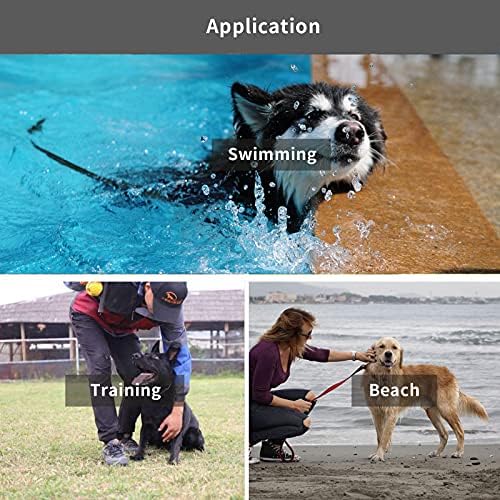 Treinamento de recall de cães duráveis ​​à prova d'água Lide